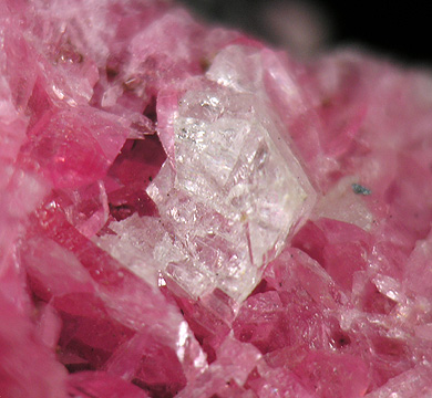 Achieve Your Highest Potential With Rhodonite