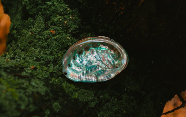 The Benefits of Mother of Pearl: Soothing Fear and Enhancing Clarity