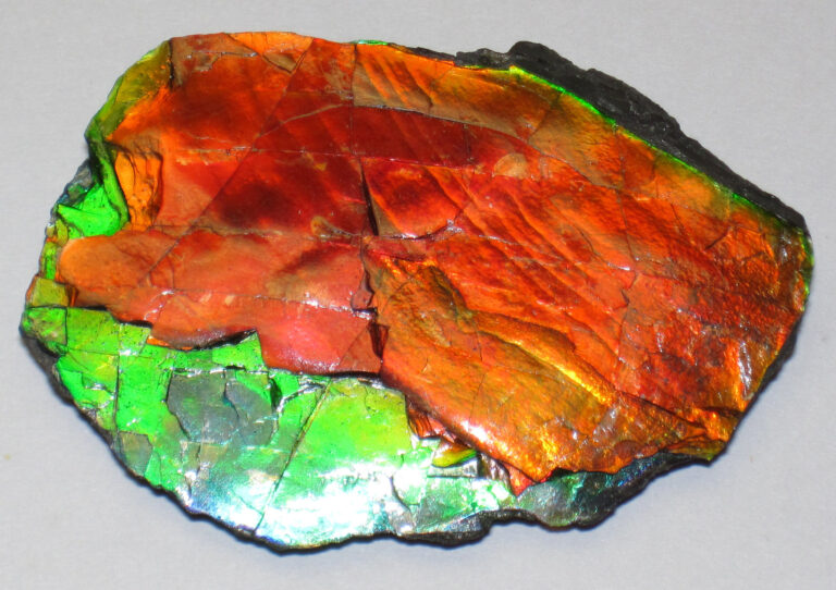 Discover the Enchanting Wonders of Ammolite